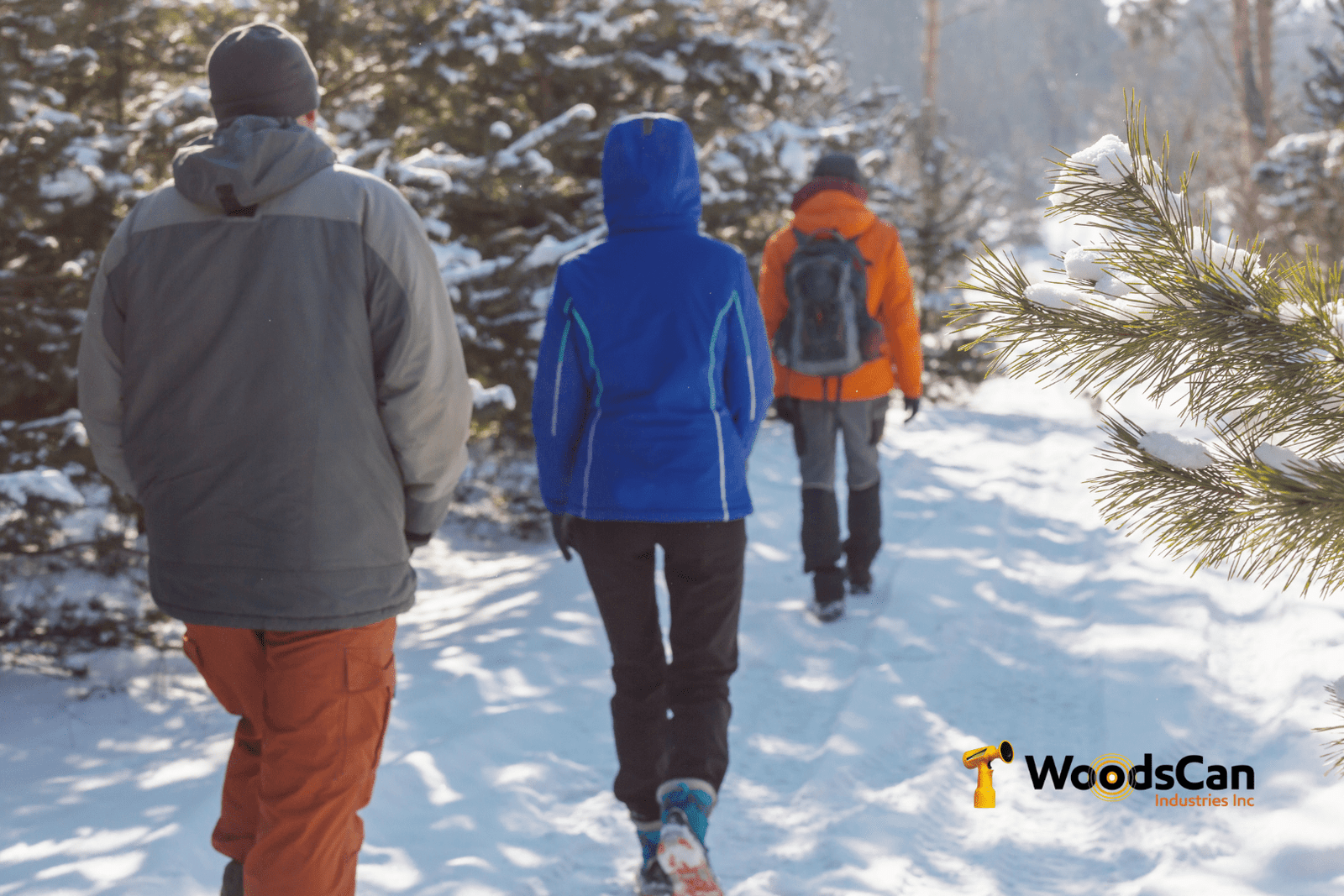 Do-air-horns-work-in-cold-weather-Hornet-Sport-Rechargeable-Electric-Air-Horn